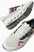 **On Running Cloudnova Form**